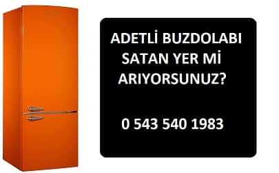 ADETLİ BUZDOLABI ALANLAR